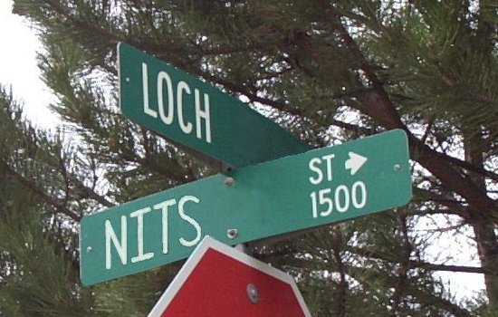 The best place on earth